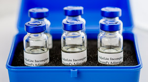 Custom Antibody Production